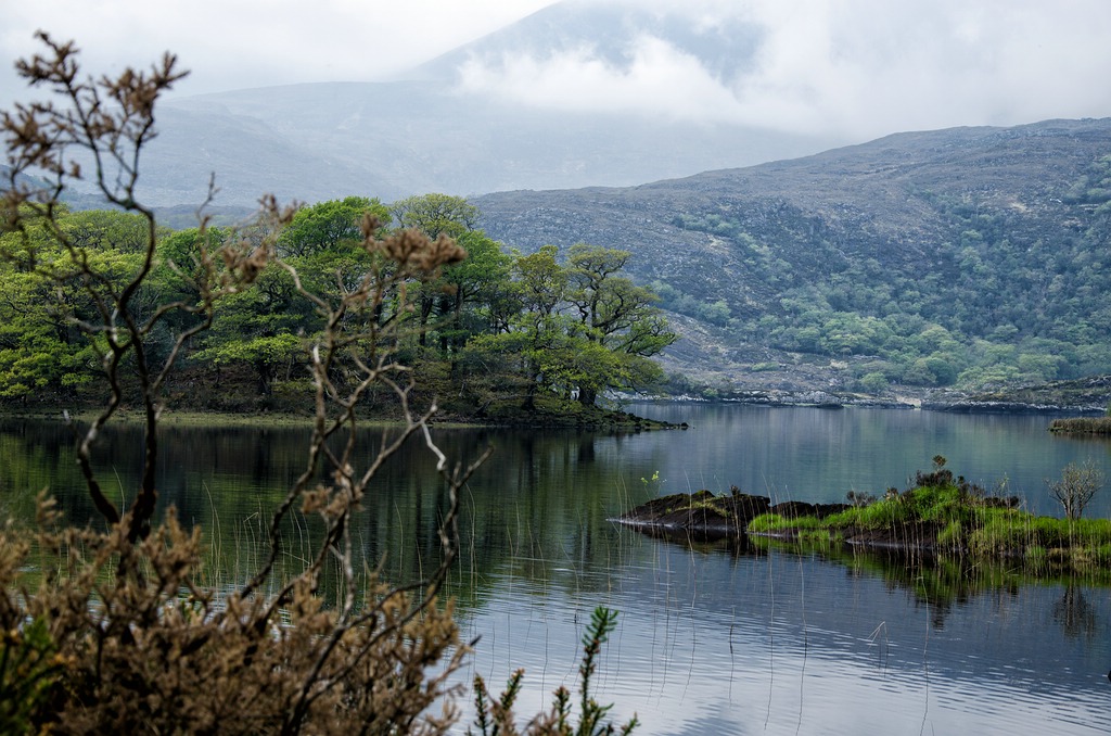 Irland DSC 9866