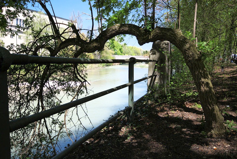 isar 5431