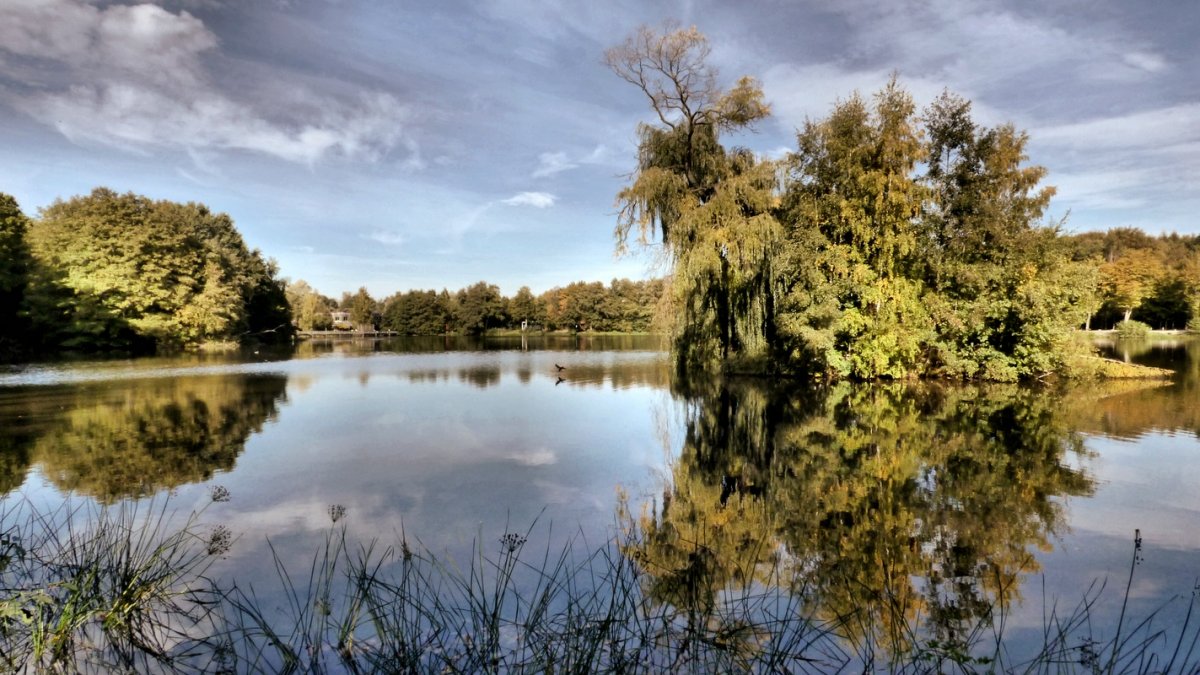 Isenhagener See.jpg