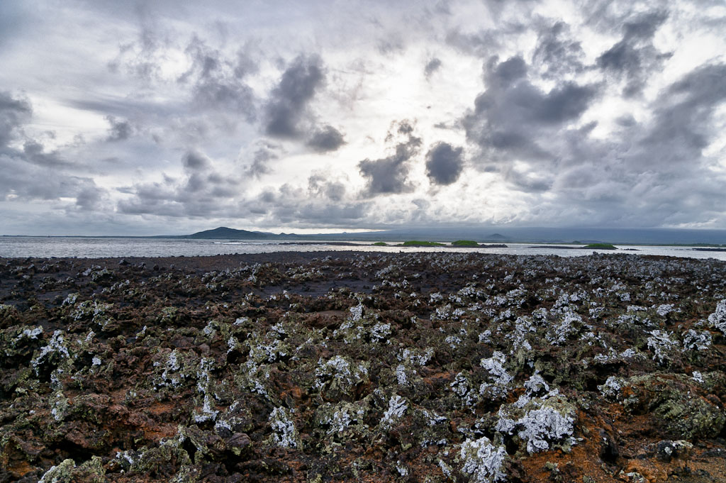 Isla_Isabela