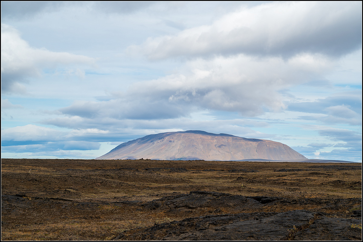island (196).jpg