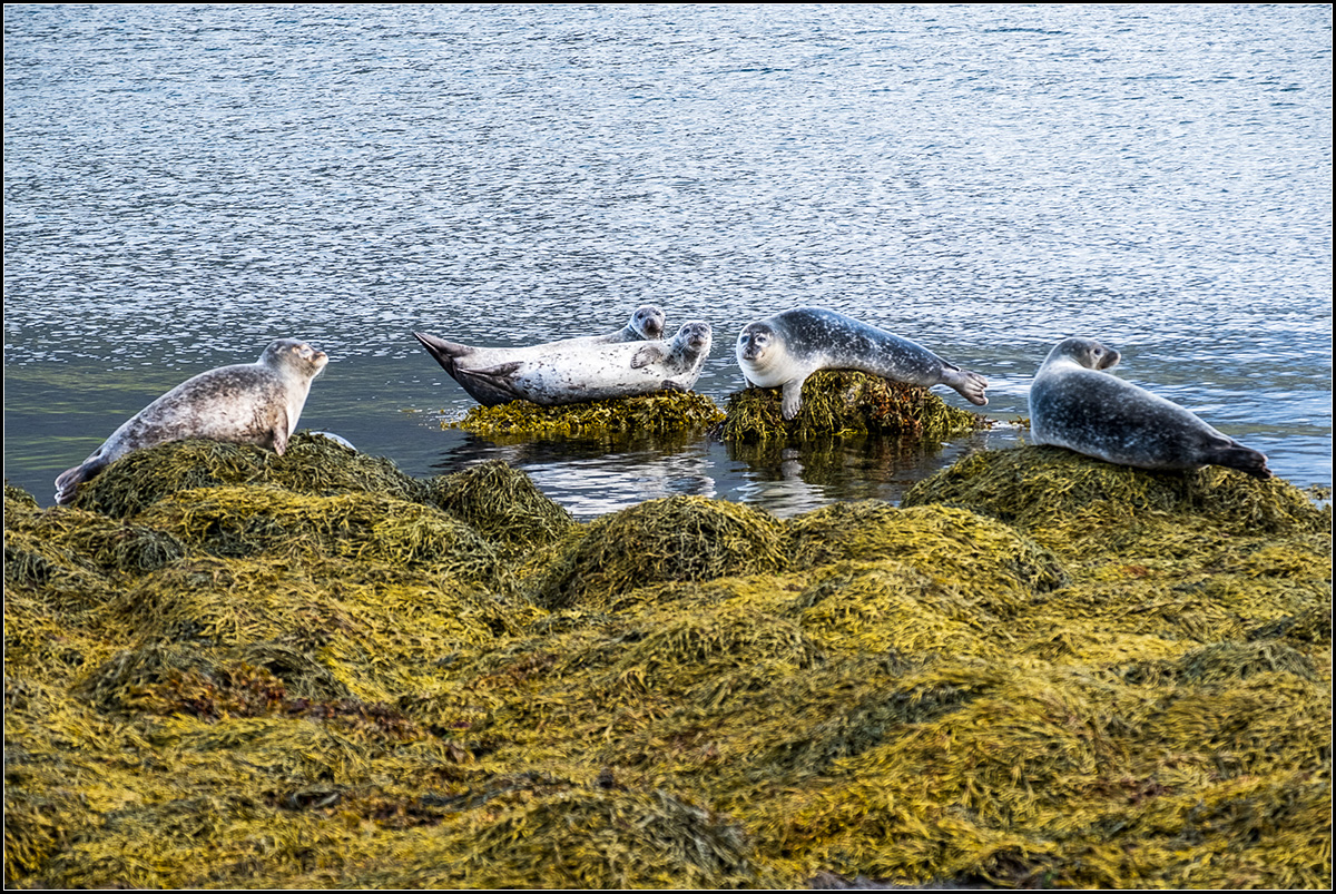 island (352).jpg