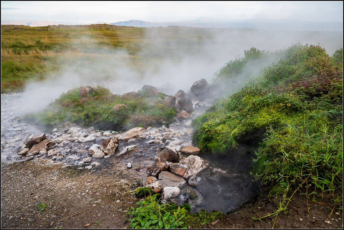 island (395).jpg