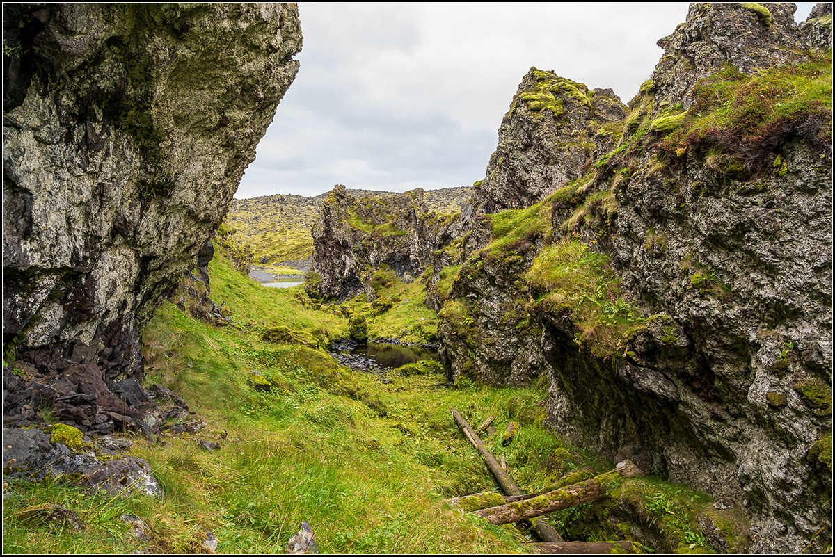 island (430).jpg
