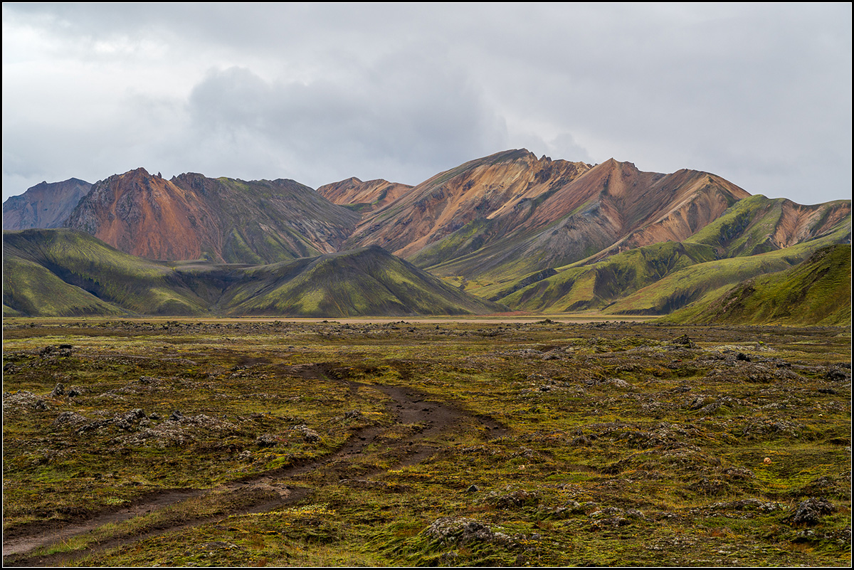 island (579).jpg