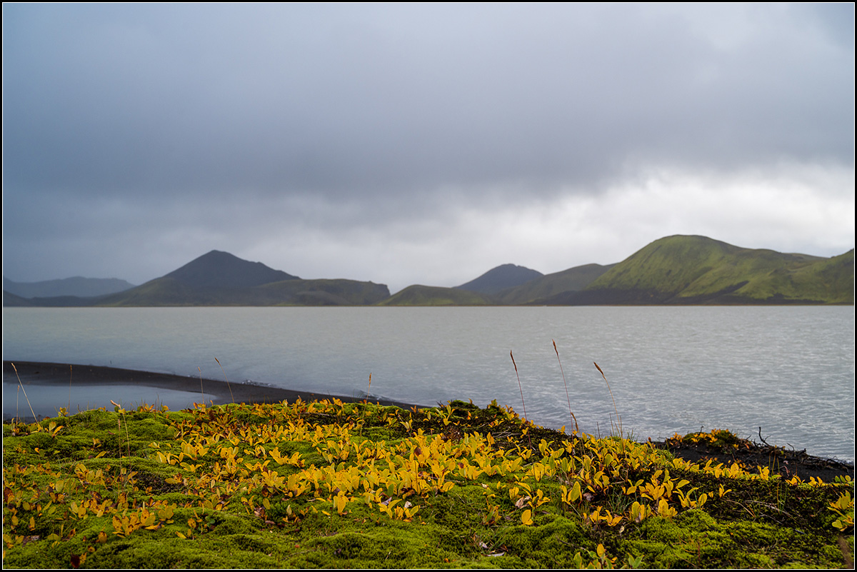 island (604).jpg