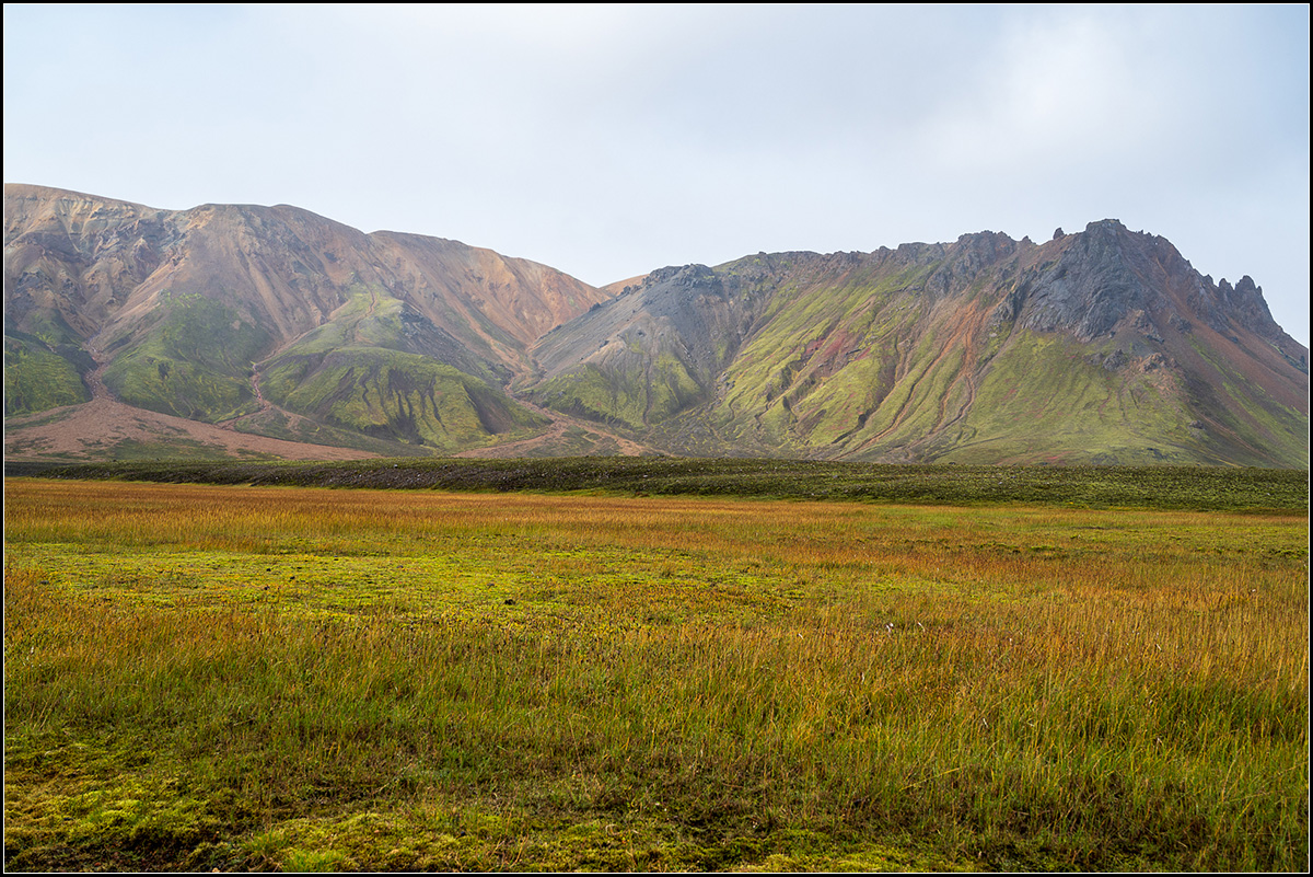 island (610).jpg