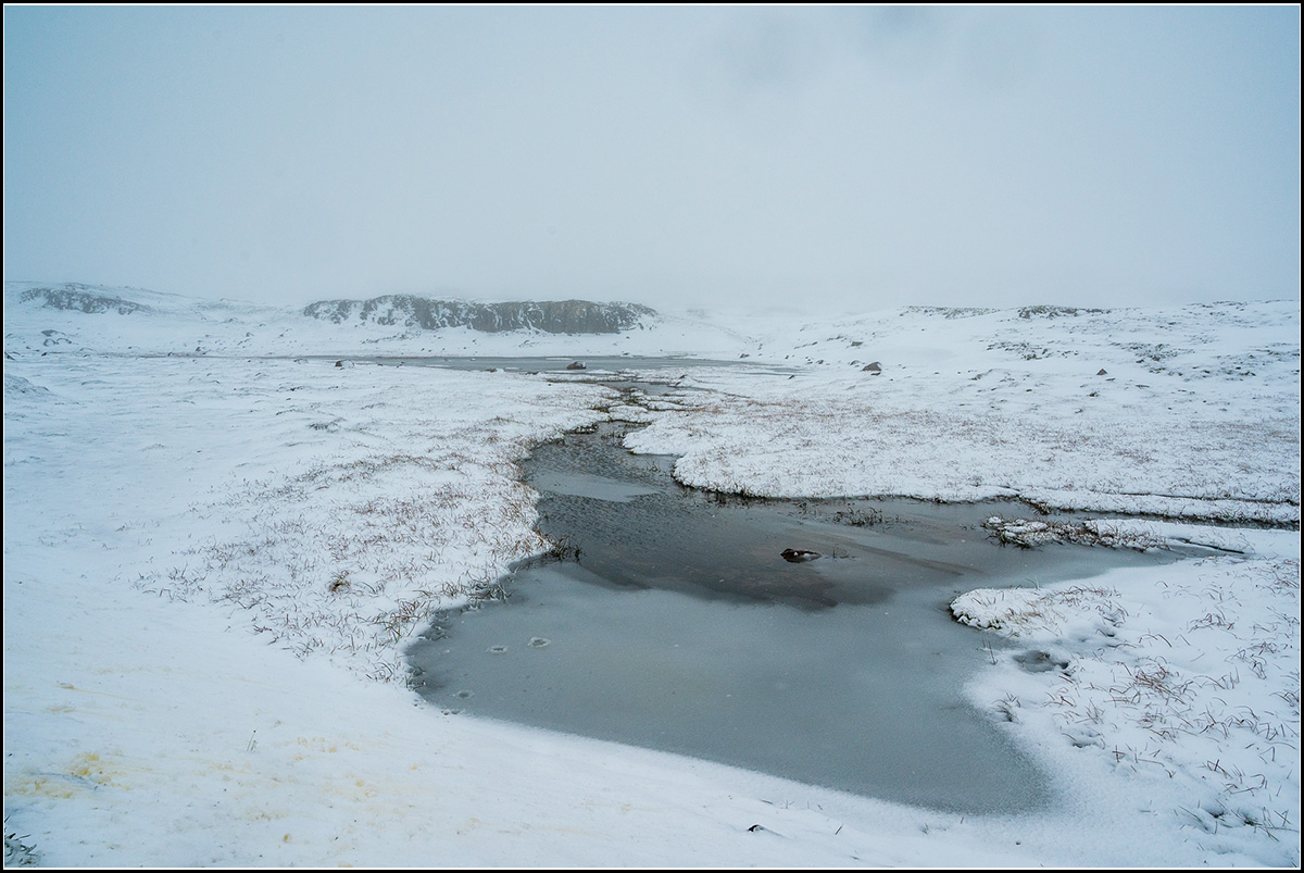 island (905).jpg