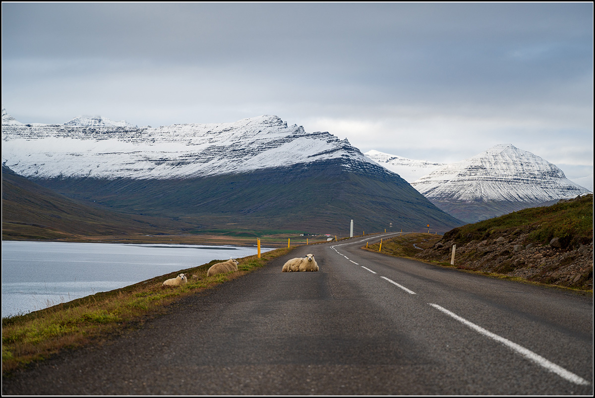island (934).jpg