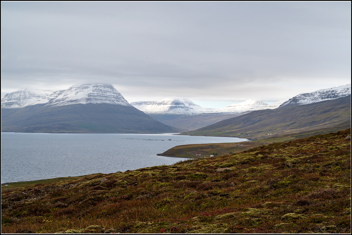 island (947).jpg