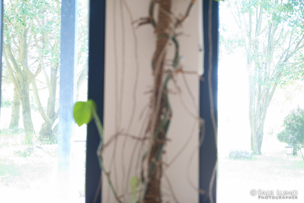 ISO 100 +1EV (LR5 PV2010: -1EV)