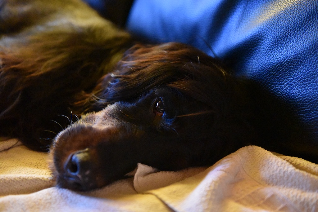 ISO 12800 ooc