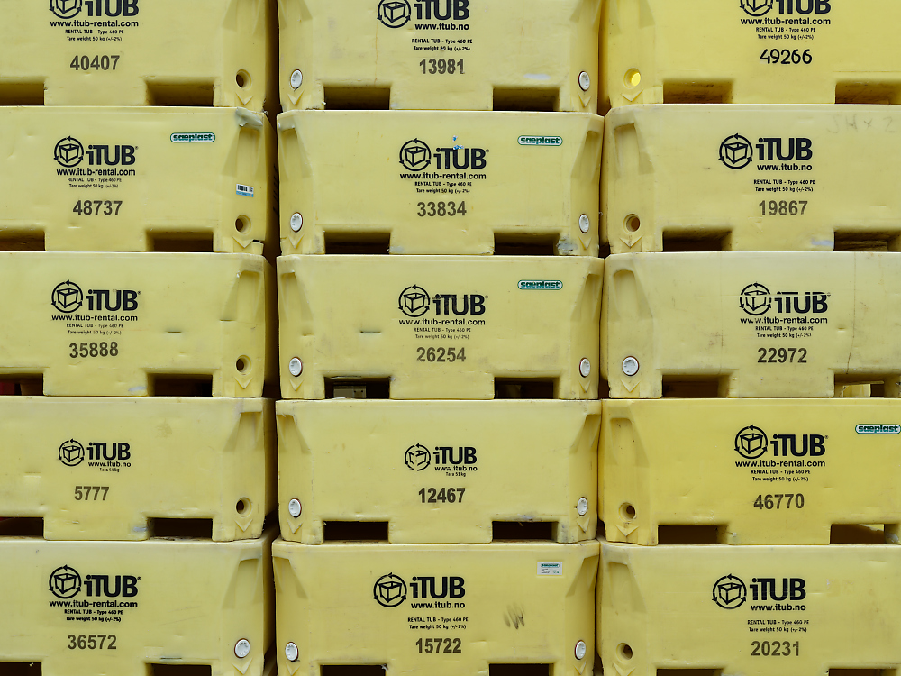 iTUB rental.jpg