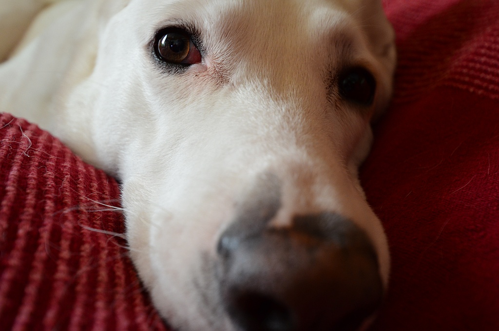 Jack2