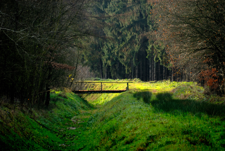 Jaegerhof0006 2