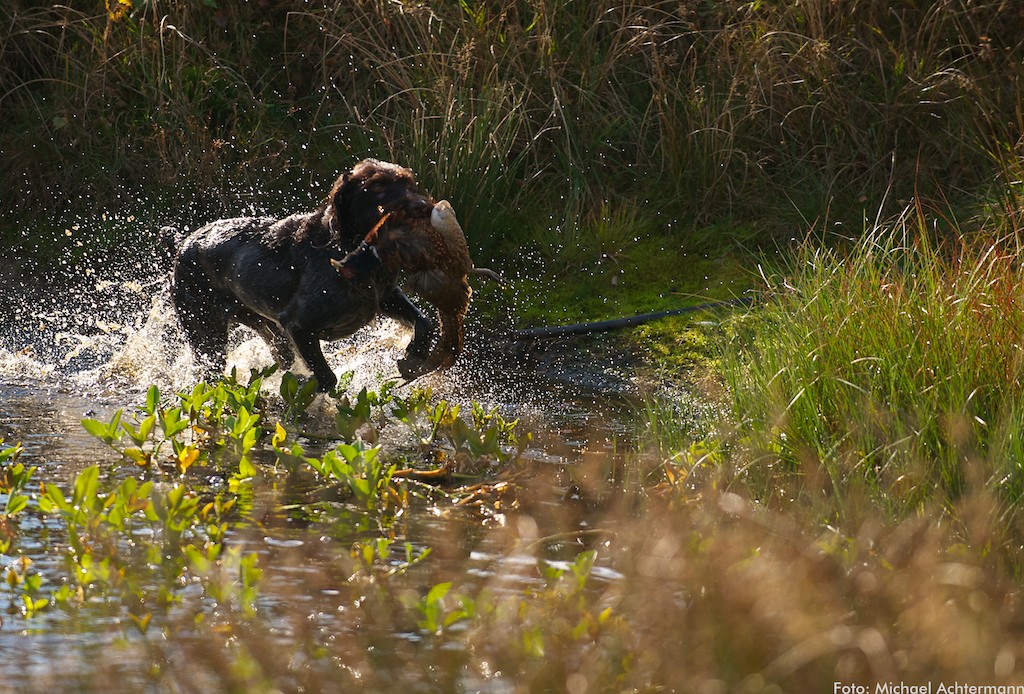 Jagd 121027 100