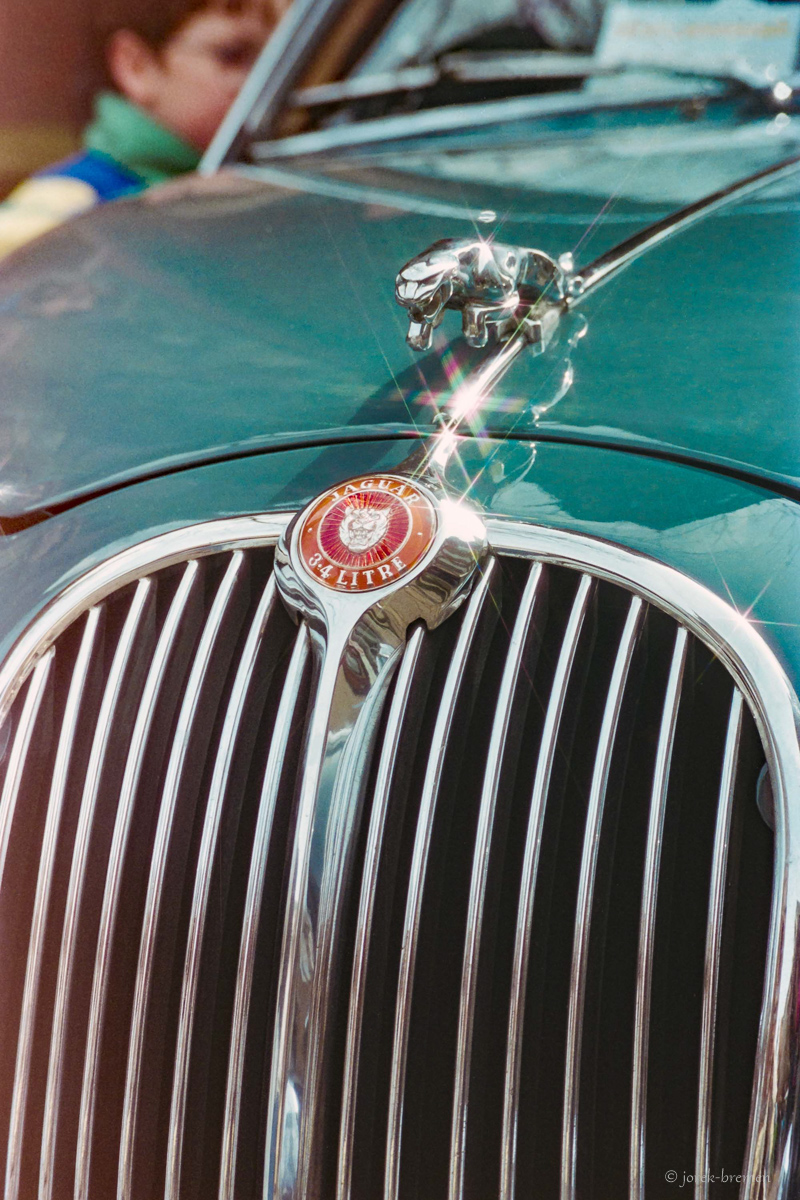 Jaguar mit Sternchen
