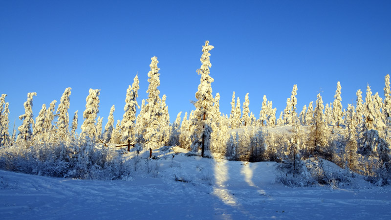 jakutische Winterlandschaft