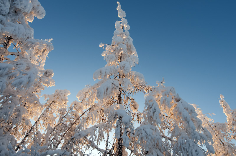 jakutische Winterlandschaft