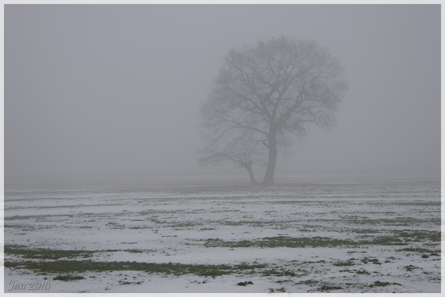 Jan 2010