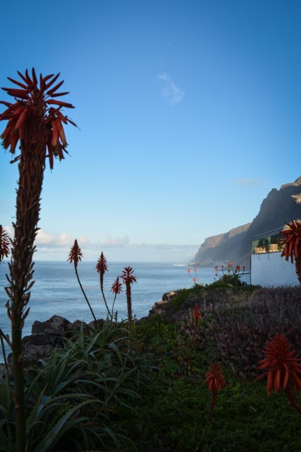 Jardim do Mar