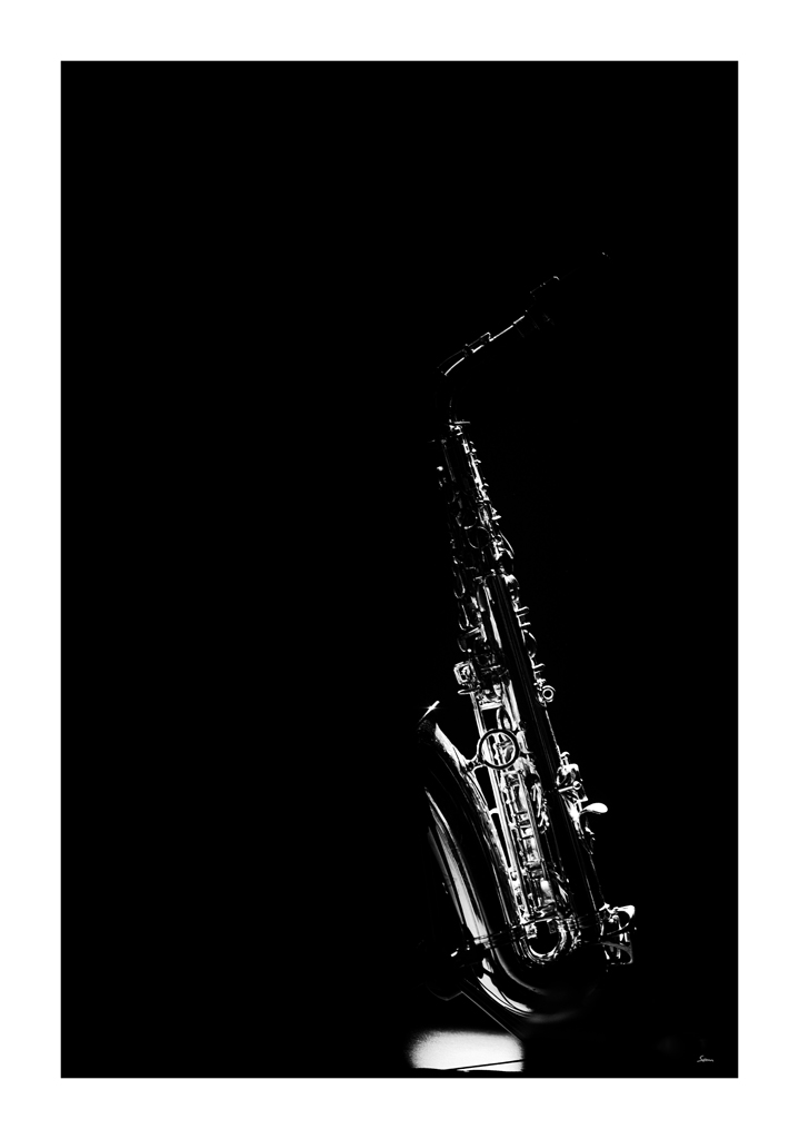 JazzPZ1 3181