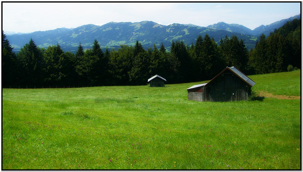 Jetzt fehlt nur noch Heidi und der Peter!