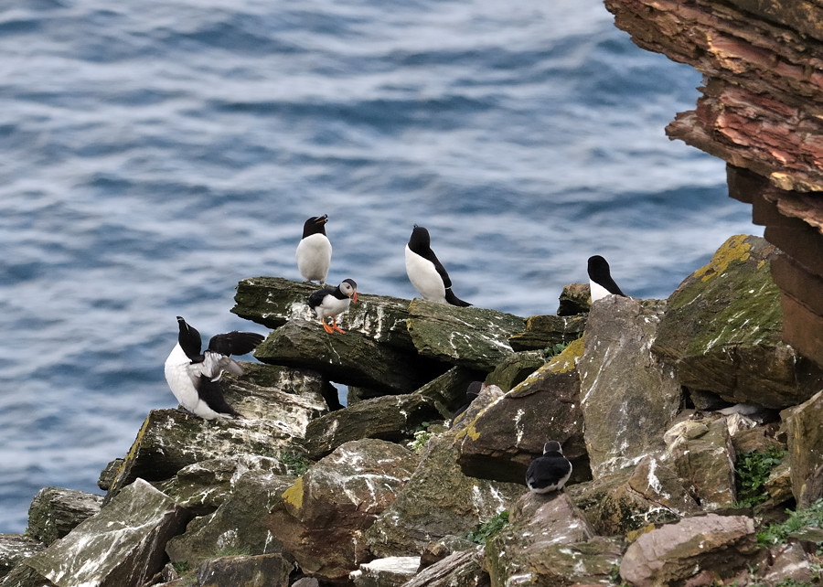 johnogroats