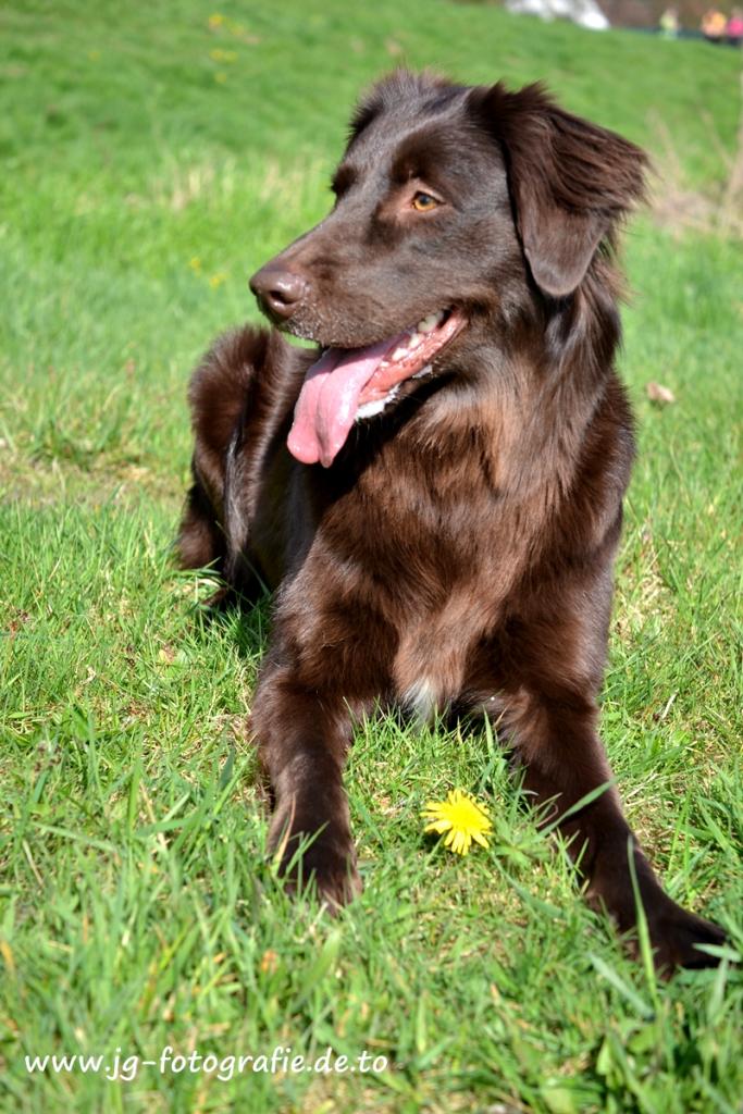 Joice :)


Modell: NIKON D3100
ISO: 100
Belichtung: 1/320 Sek.
Blende: 4.0
Brennweite: 40mm