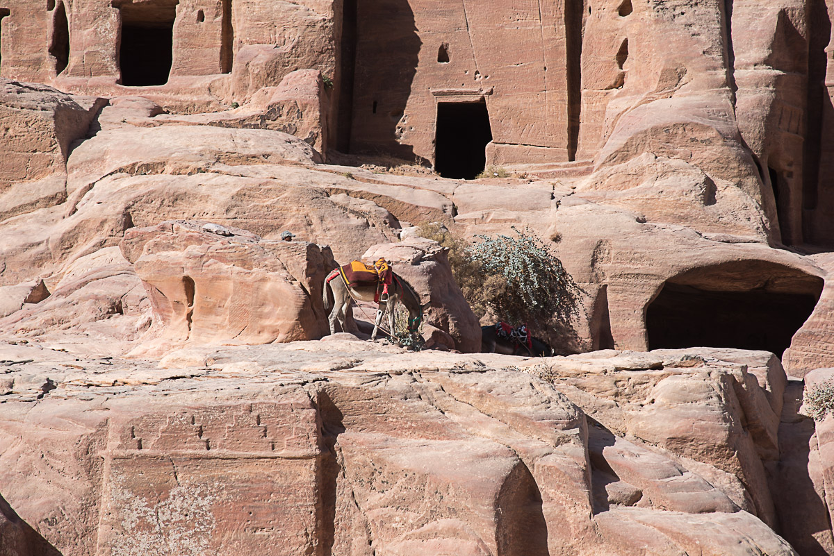 Jordanien Petra, Theaternekropole in Petra