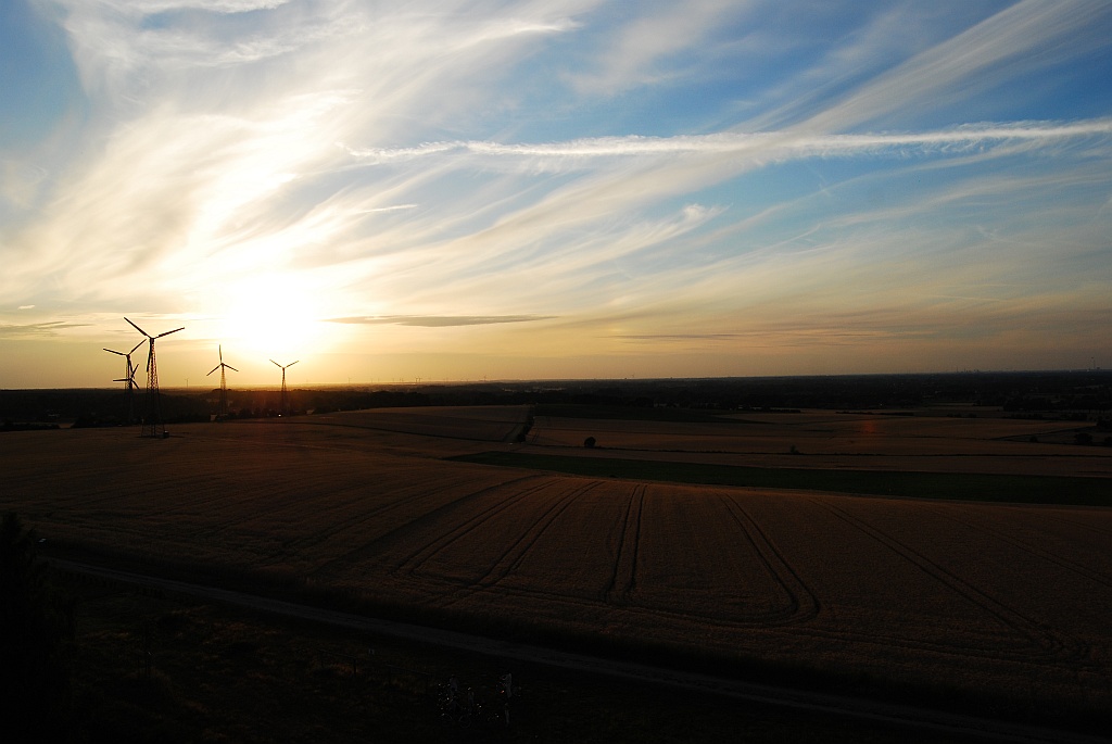 Juli 2010 Hoher Berg Syke Abends5537 001