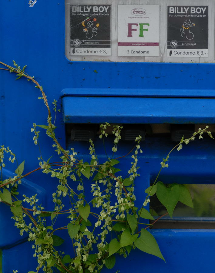 Jungs, was ist los?