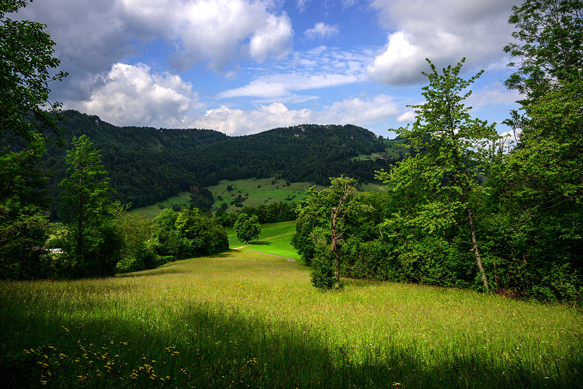 Jura.jpg