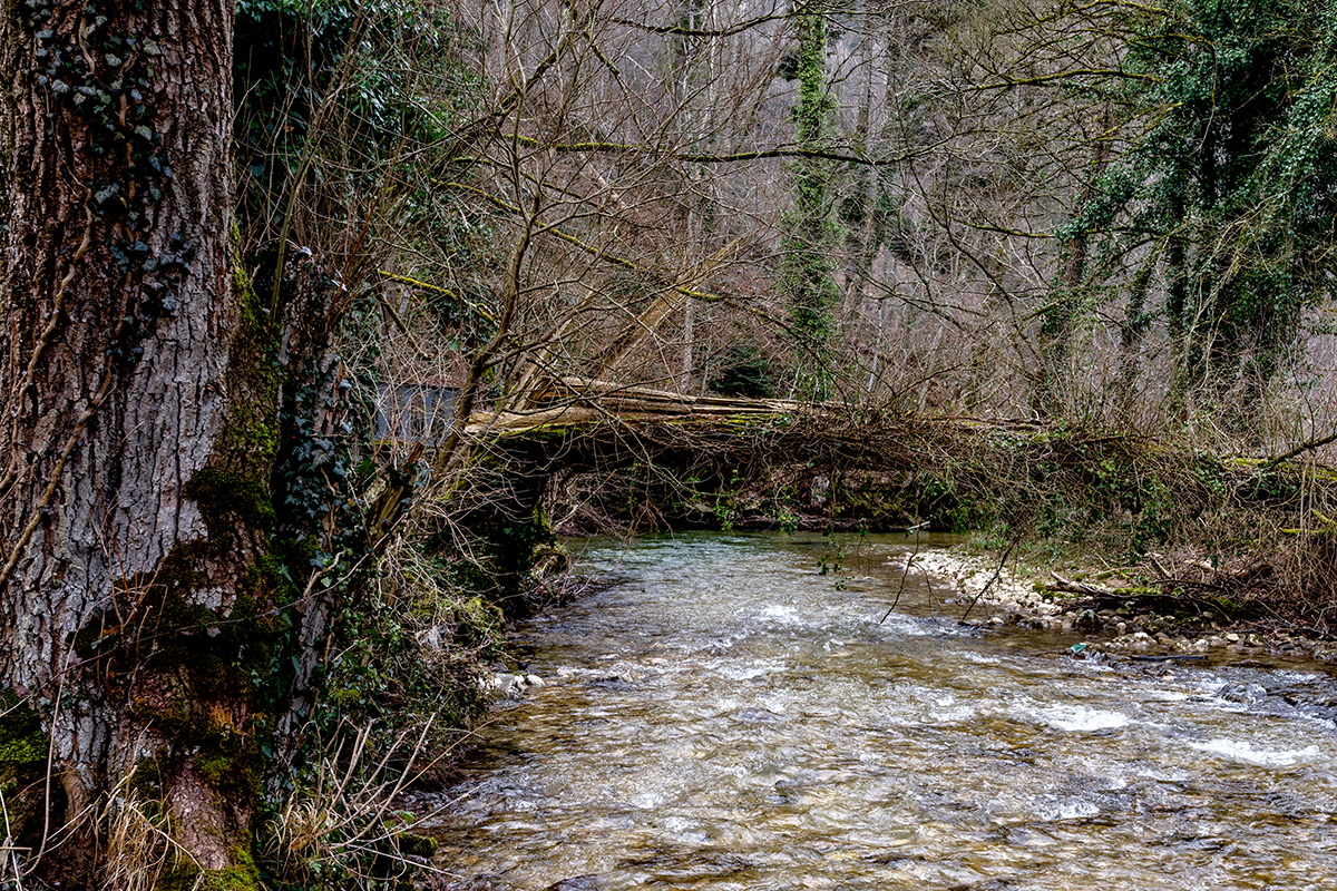 Jura.jpg
