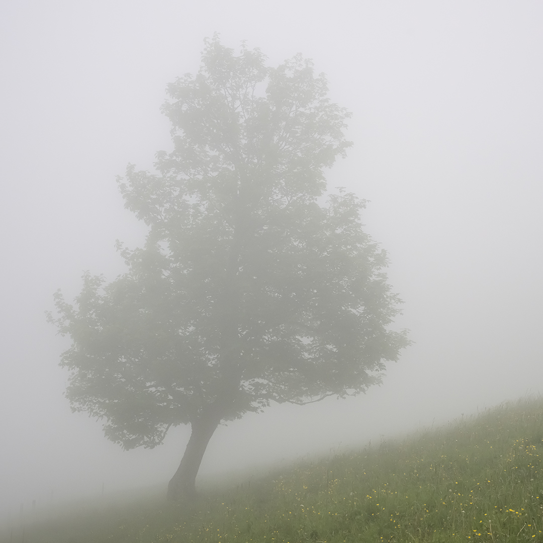 Jura.jpg