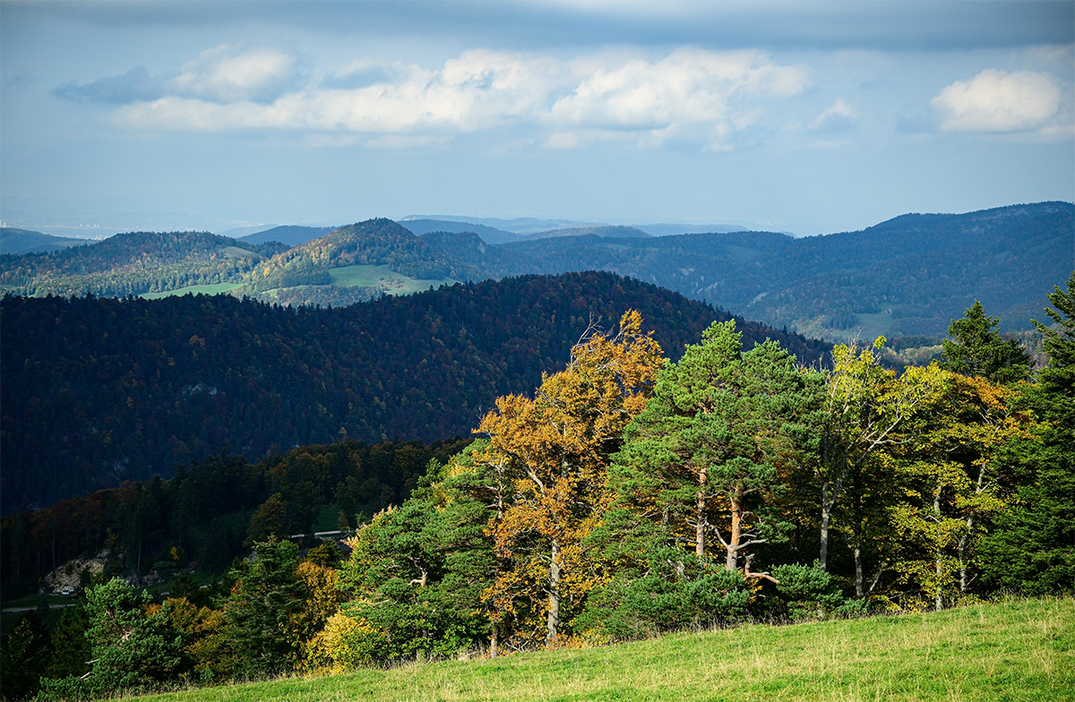 Jura.jpg