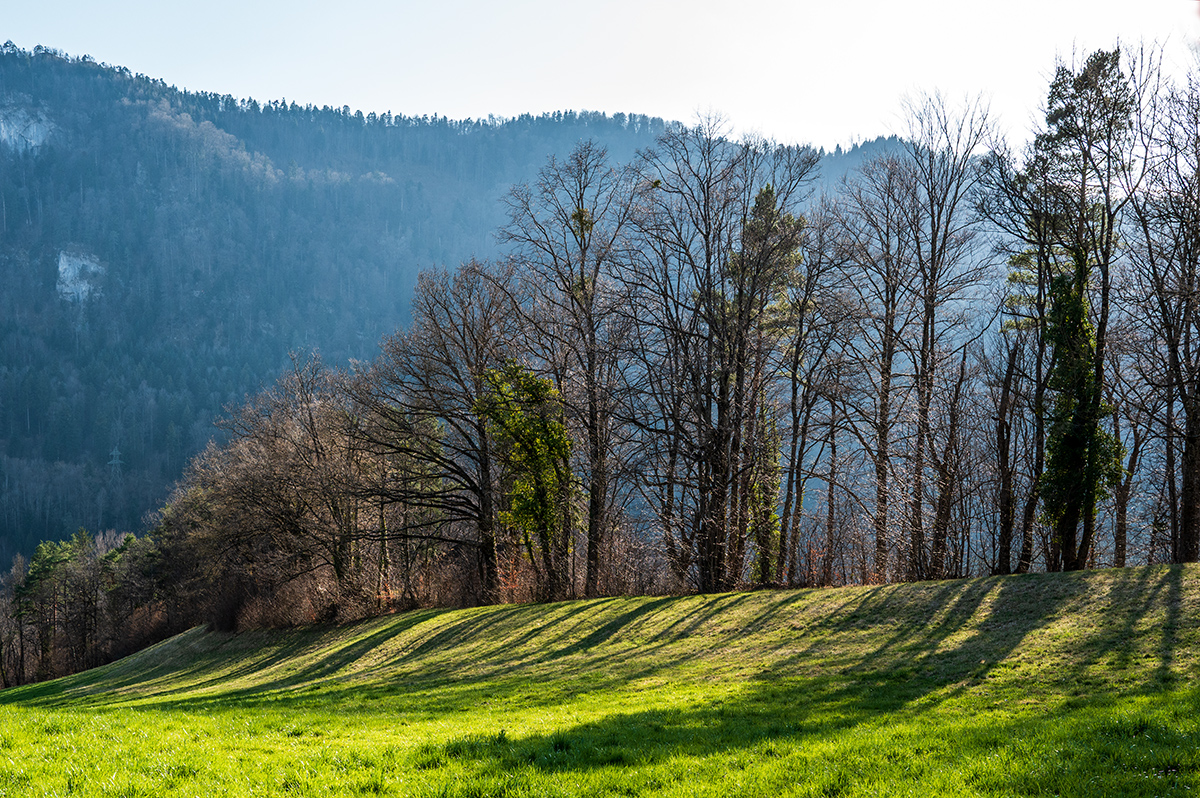 Jura.jpg