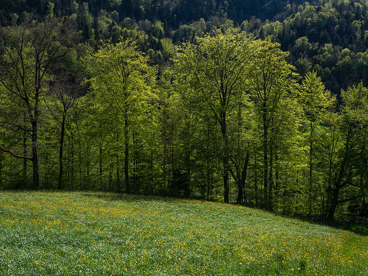 Jura.jpg