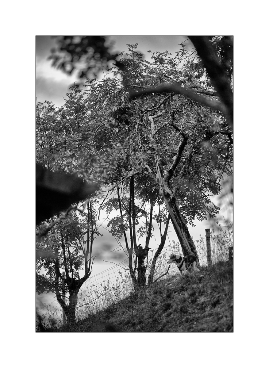 JuraD4F_3194.jpg