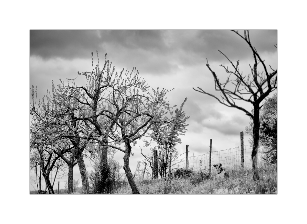 JuraD4F_3988.jpg