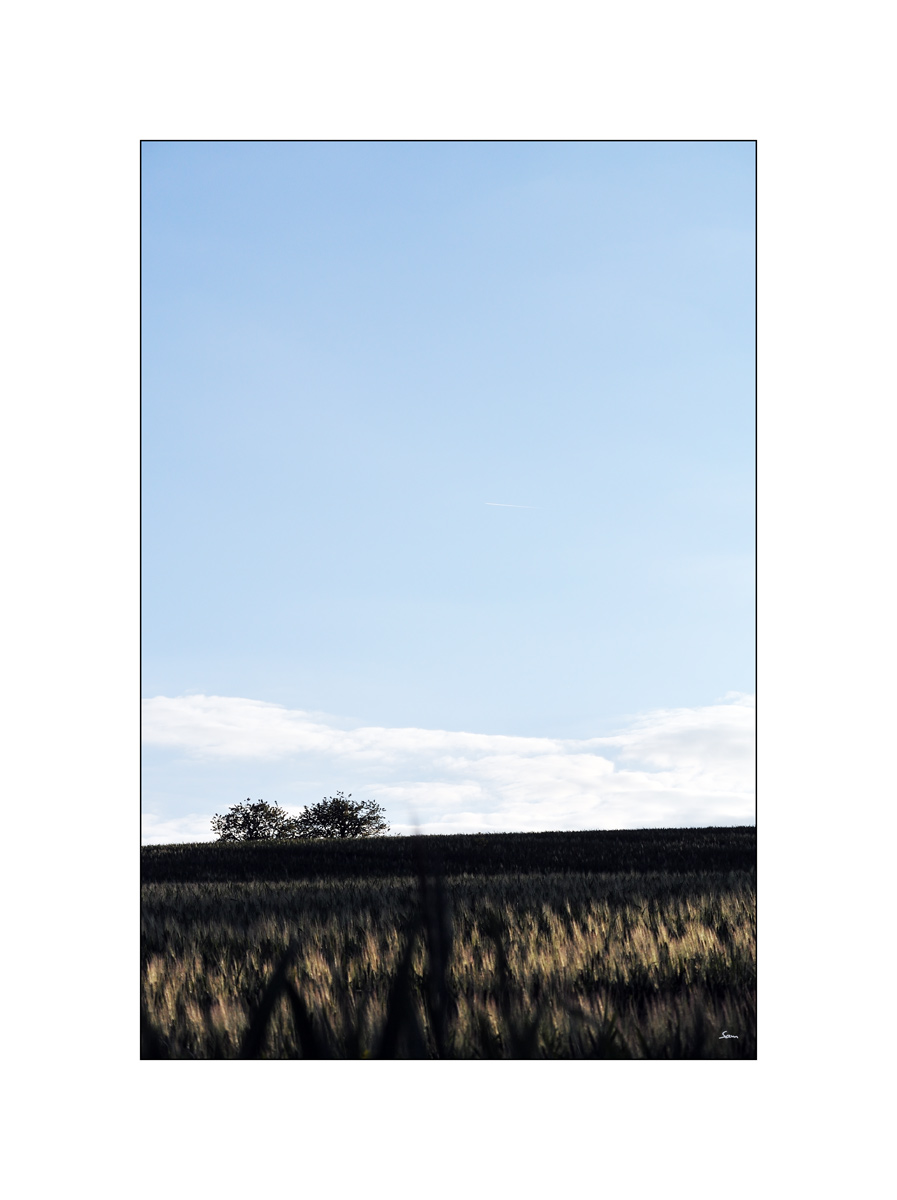 JuraDSC 3349 00004