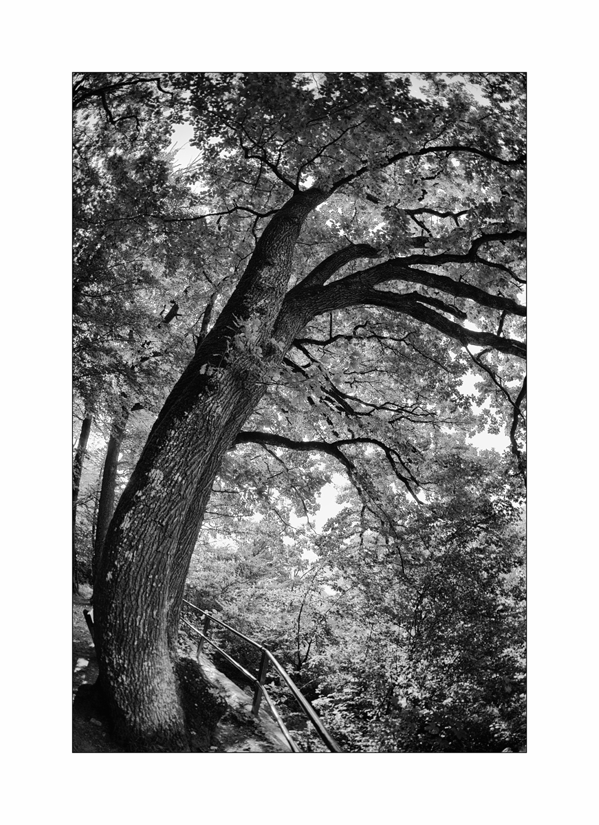 JuraDSC_2379.jpg
