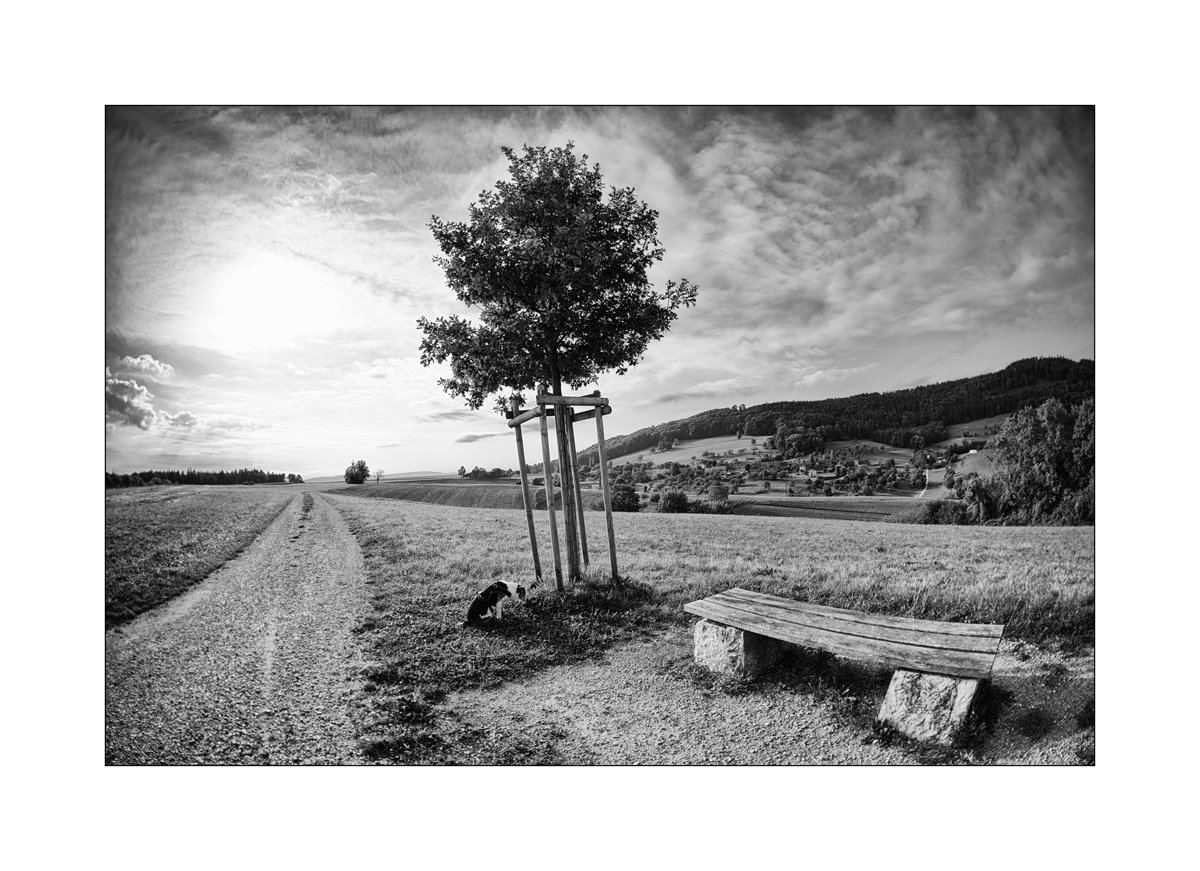 JuraDSC_2391.jpg