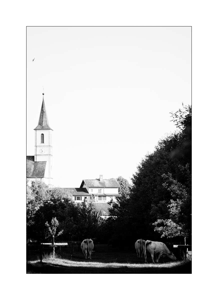 JuraDSC_3541.jpg