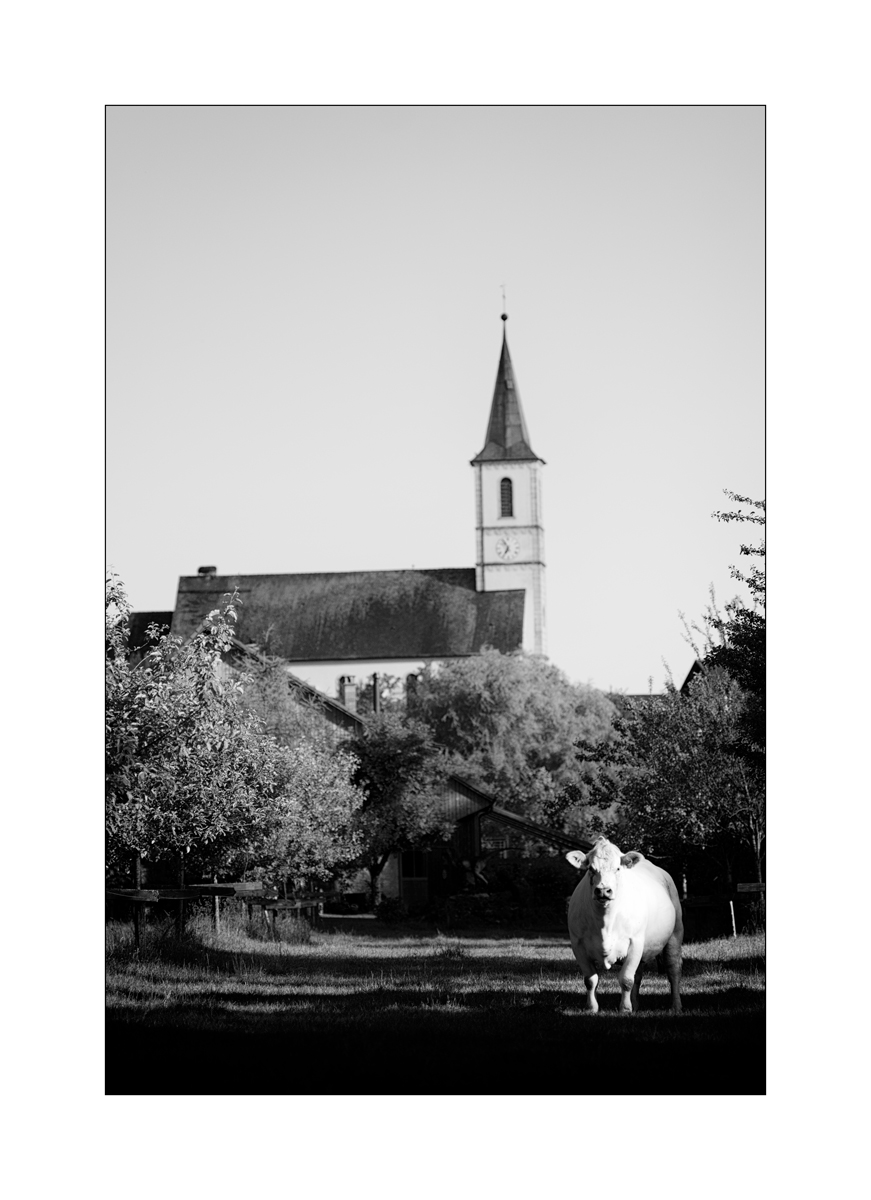 JuraDSC_3543.jpg