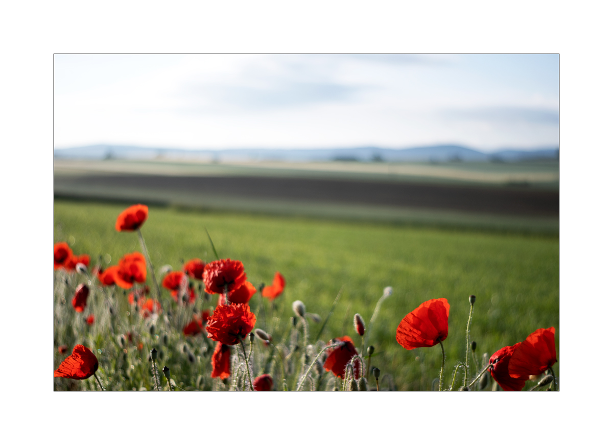 JuraDSC_3559.jpg