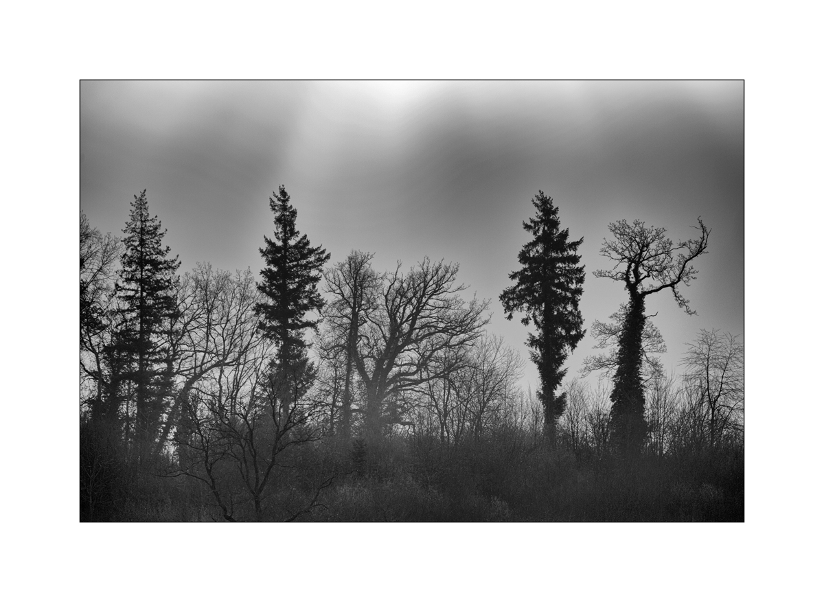 JuraDSC_6317.jpg