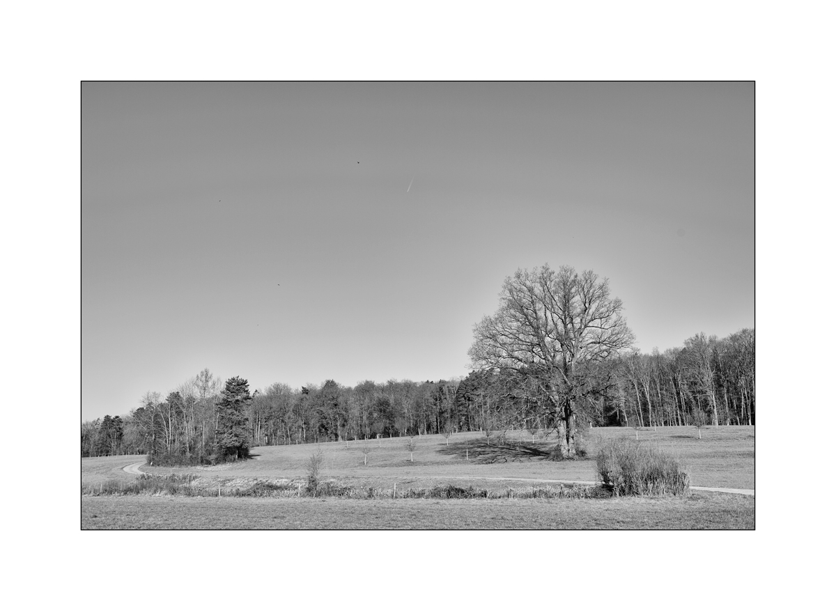 JuraDSC_6443.jpg