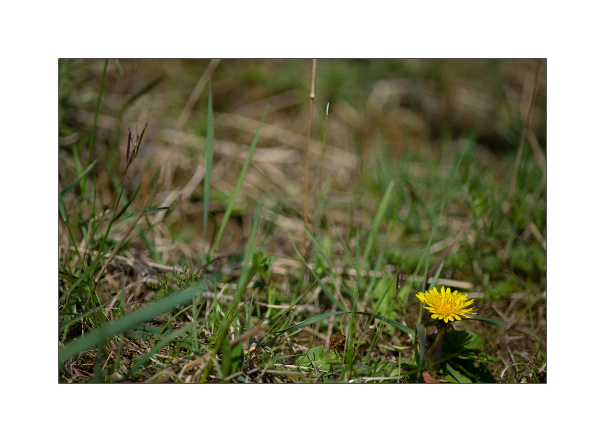 JuraDSC_6560.jpg