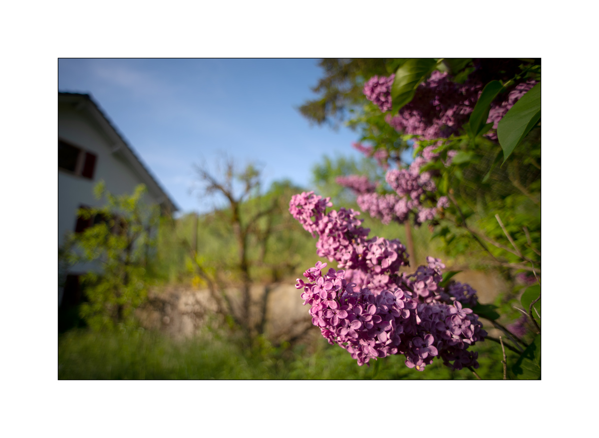 JuraDSC_6790.jpg